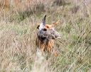 20171007-wcxl-0846