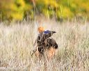 20171007-wcxl-0866