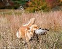 20171007-wcxl-0988