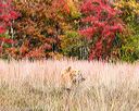 20171007-wcxl-1000