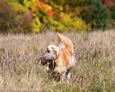 20171007-wcxl-1112