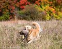 20171007-wcxl-1118