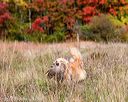20171007-wcxl-1122