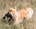 20171007-wcxl-1153