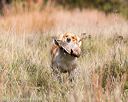 20171007-wcxl-1170