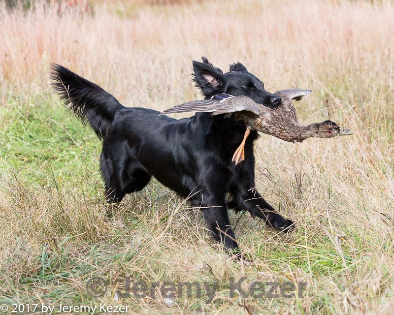 20171007-wcxl-0756.jpg