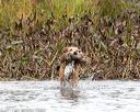 20171007-wcxw-0280