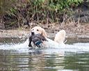 20171007-wcxw-0335