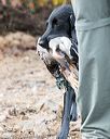 20171007-wcxw-0534