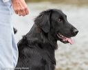 20171007-wcxw-0702
