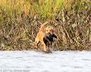 20171007-wcxw-0796