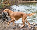 20171007-wcxw-0834