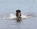20171007-wcxw-0849