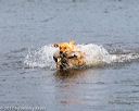 20171007-wcxw-0918