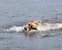 20171007-wcxw-0927