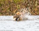 20171007-wcxw-0942