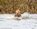 20171007-wcxw-0945