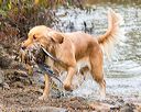 20171007-wcxw-0967