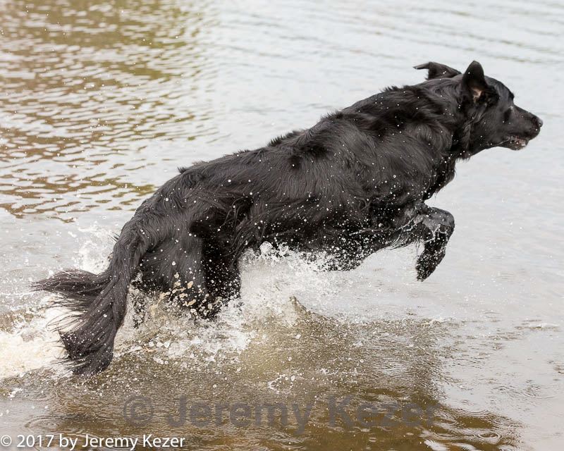 20171007-wcxw-0670.jpg