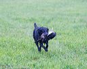 20171008-wcl-0036