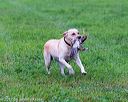 20171008-wcl-0063