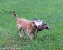 20171008-wcl-0086