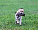 20171008-wcl-0123