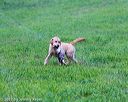 20171008-wcl-0134