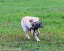 20171008-wcl-0160