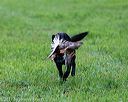 20171008-wcl-0240