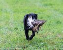 20171008-wcl-0244