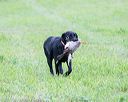 20171008-wcl-0301