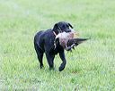 20171008-wcl-0303