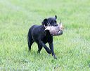20171008-wcl-0304