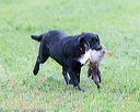 20171008-wcl-0307