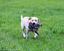 20171008-wcl-0508