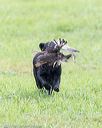 20171008-wcl-0597