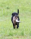 20171008-wcl-0672