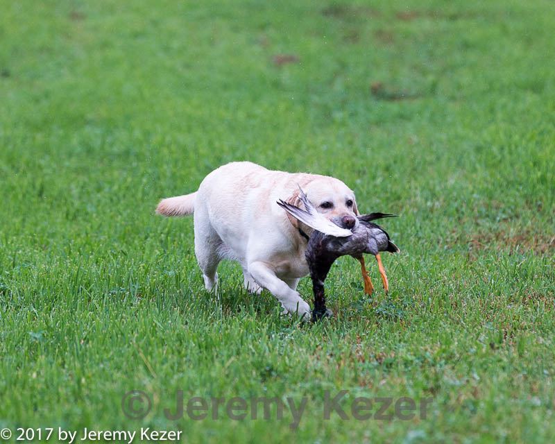 20171008-wcl-0227.jpg