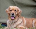 20180602-shrl-0003