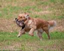 20180602-shrl-0014