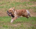 20180602-shrl-0015