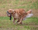 20180602-shrl-0017
