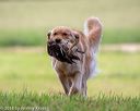20180602-shrl-0024