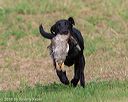 20180602-shrl-0036