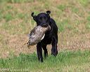 20180602-shrl-0037
