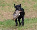 20180602-shrl-0040