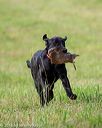 20180602-shrl-0049