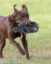 20180602-shrl-0081