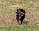 20180602-shrl-0094